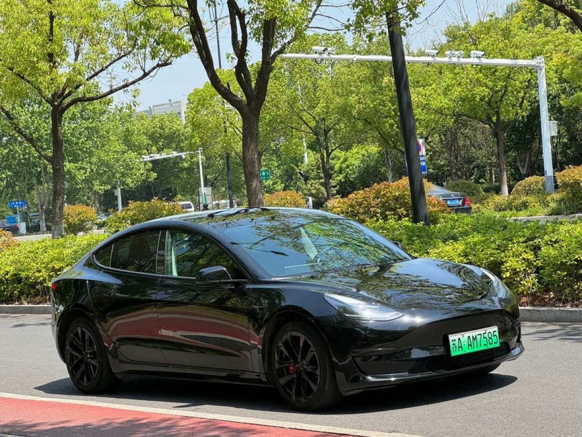 特斯拉 Model 3  2022款 后輪驅動版圖片