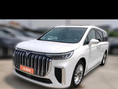 2024年6月 嵐圖 夢想家 PHEV 超長續(xù)航尊貴版圖片