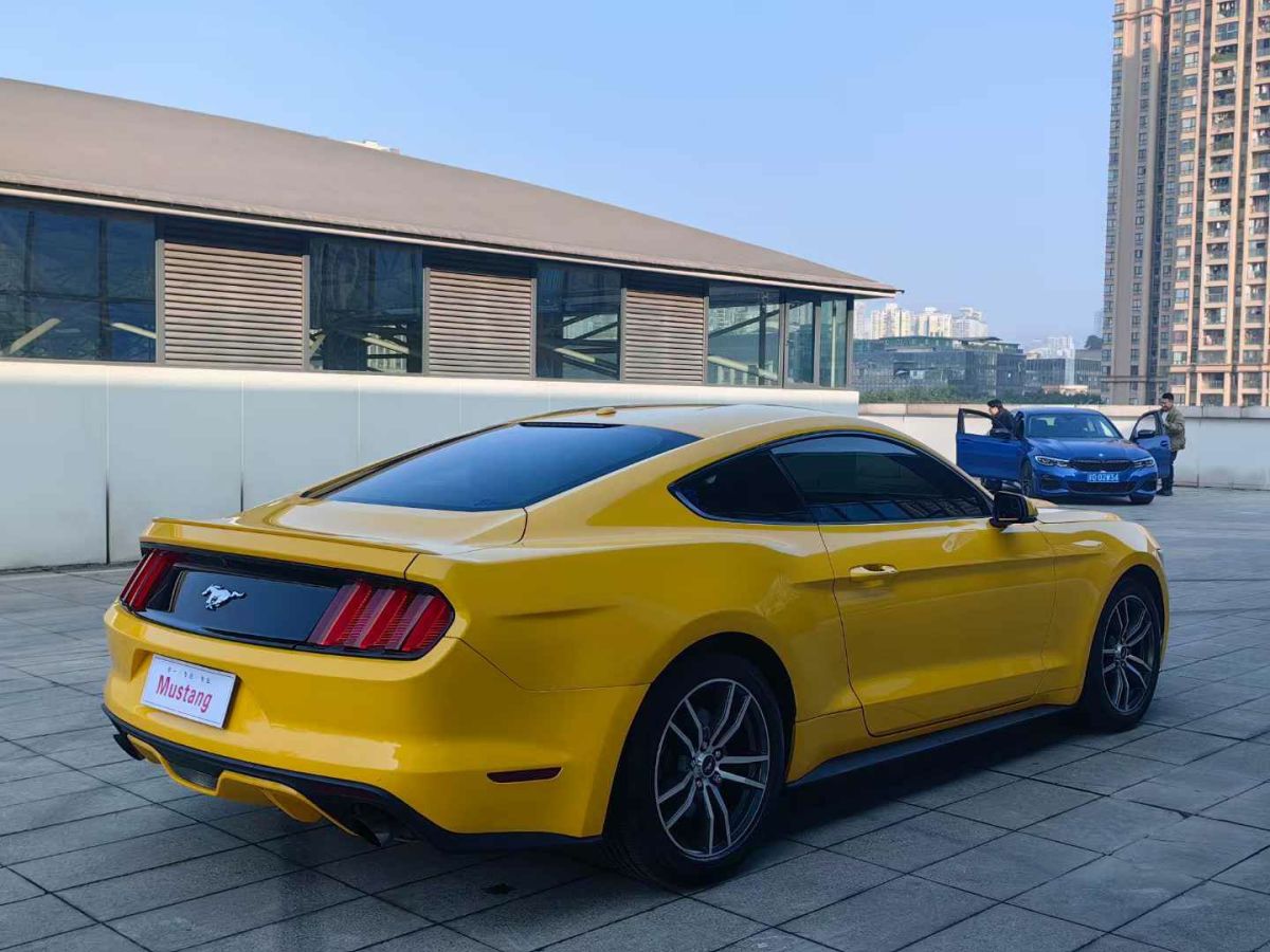 福特 Mustang  2016款 2.3T 性能版圖片