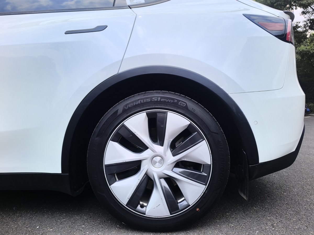 特斯拉 Model Y  2021款 標(biāo)準(zhǔn)續(xù)航后驅(qū)版圖片