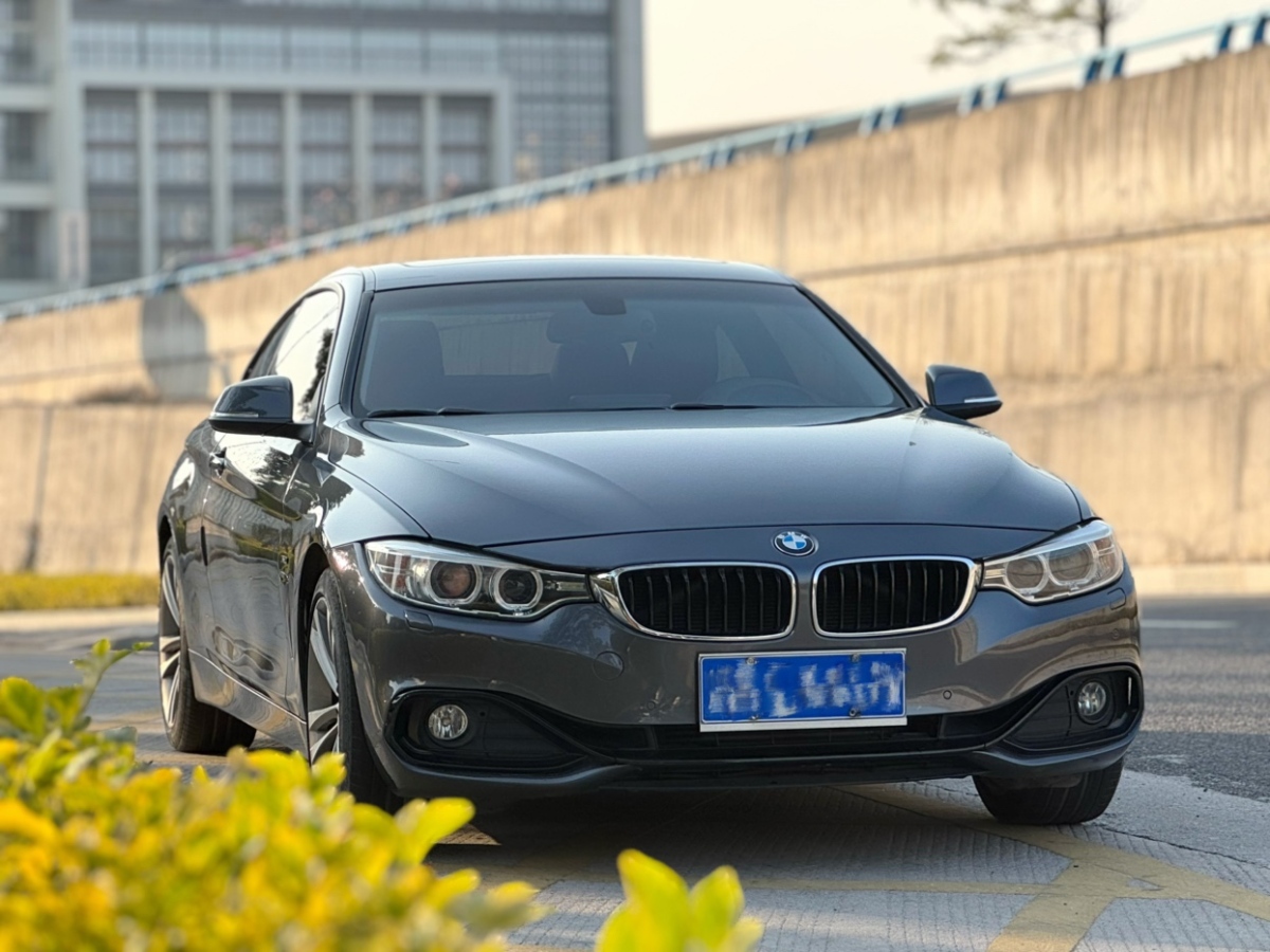 寶馬 寶馬4系  2014款 428i  xDrive Gran Coupe 設(shè)計(jì)套裝型圖片