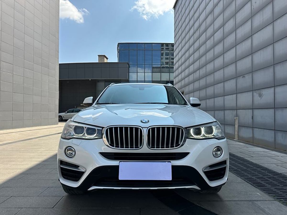 寶馬 寶馬X4  2014款 xDrive20i X設(shè)計(jì)套裝圖片