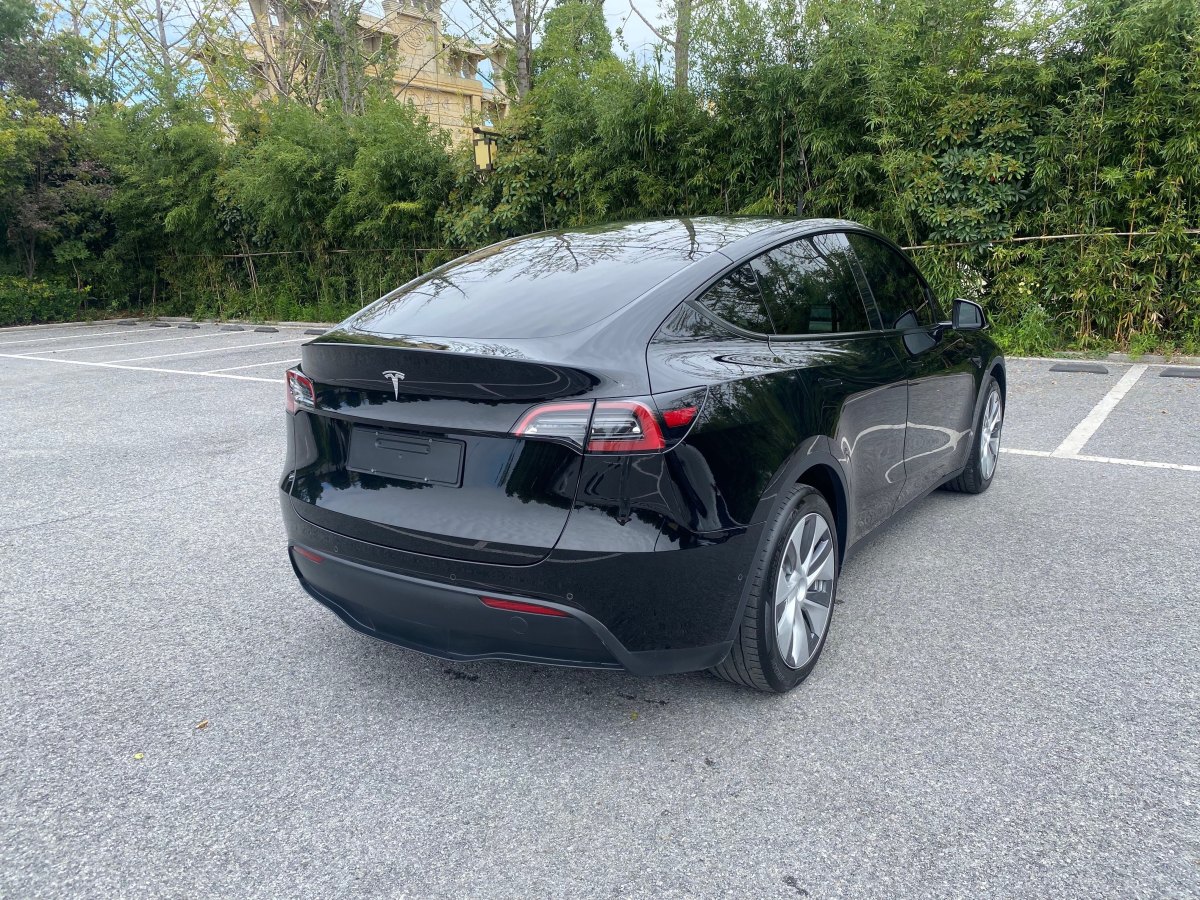 特斯拉 Model Y  2022款 后輪驅(qū)動(dòng)版圖片