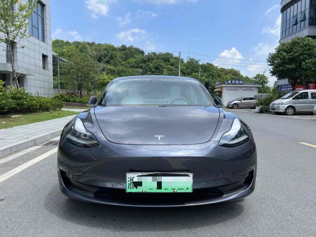 特斯拉 Model 3  2020款 改款 長續(xù)航后輪驅(qū)動(dòng)版圖片