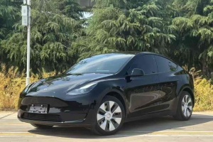Model Y 特斯拉 改款 后輪驅(qū)動(dòng)版
