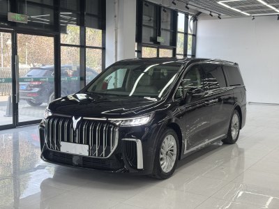 2024年6月 嵐圖 夢想家 PHEV 超長續(xù)航尊貴版圖片