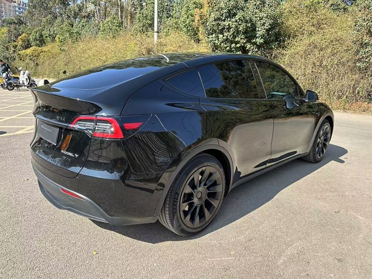 特斯拉 Model 3  2021款 改款 標準續(xù)航后驅(qū)升級版圖片