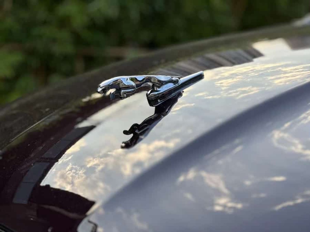捷豹 XF  2013款 XF 2.0T 劍橋限量版圖片