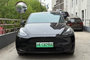 Model Y 特斯拉 改款 后輪驅(qū)動(dòng)版