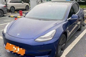 Model 3 特斯拉 改款 長續(xù)航后輪驅動版
