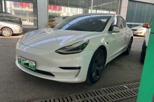 Model Y 特斯拉 標(biāo)準(zhǔn)續(xù)航后驅(qū)版