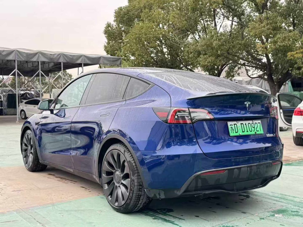 特斯拉 Model 3  2022款 Performance高性能全輪驅(qū)動版圖片