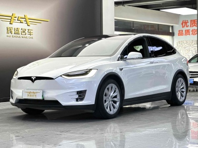 2018年1月 特斯拉 Model X Model X 75D圖片