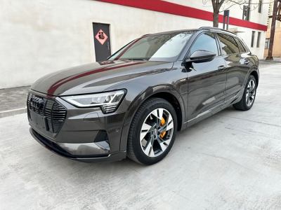 2021年9月 奧迪 奧迪e-tron(進(jìn)口) Sportback 55 quattro 豪華型圖片