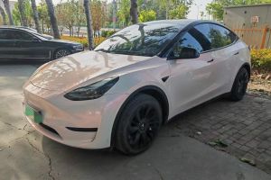 Model Y 特斯拉 Performance高性能全輪驅(qū)動版
