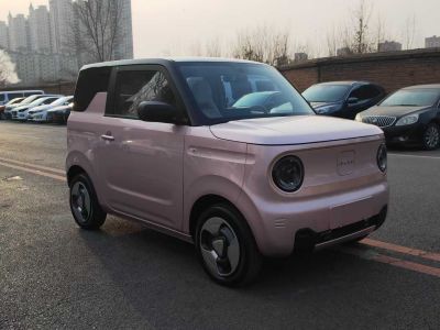 2023年1月 吉利 熊貓mini 120km 亞運(yùn)熊圖片