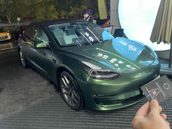 特斯拉 Model 3  2019款 Performance高性能全轮驱动版