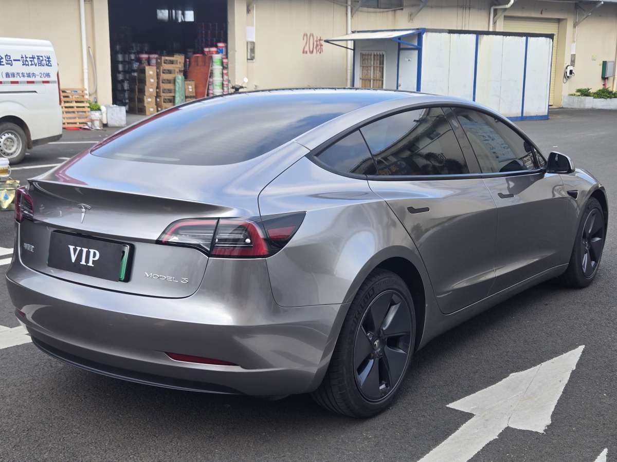 特斯拉 Model 3  2021款 標(biāo)準(zhǔn)續(xù)航后驅(qū)升級(jí)版 3D6圖片