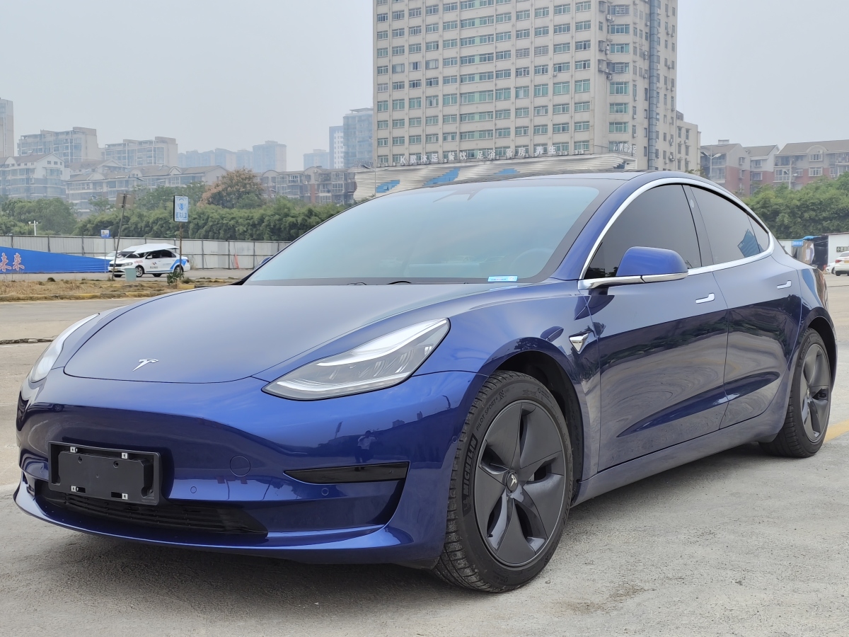 特斯拉 Model 3  2019款 標(biāo)準(zhǔn)續(xù)航后驅(qū)升級(jí)版圖片