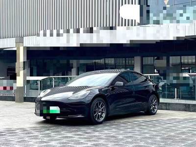 2020年11月 特斯拉 Model 3 改款 標(biāo)準(zhǔn)續(xù)航后驅(qū)升級版圖片