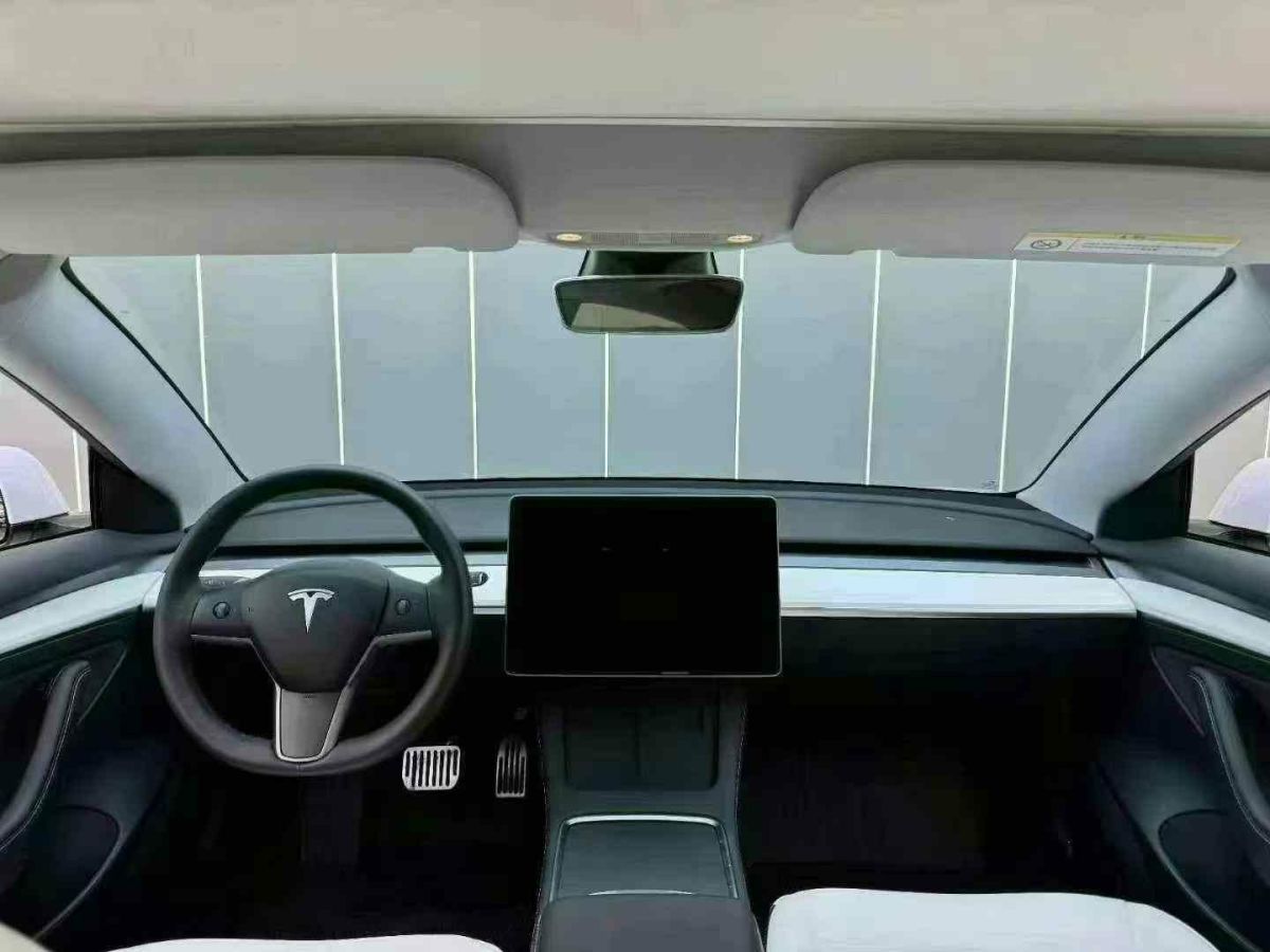 特斯拉 Model Y  2022款 Performance高性能全輪驅(qū)動版圖片