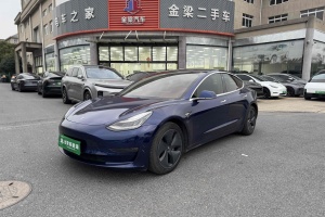 Model 3 特斯拉 长续航全轮驱动版