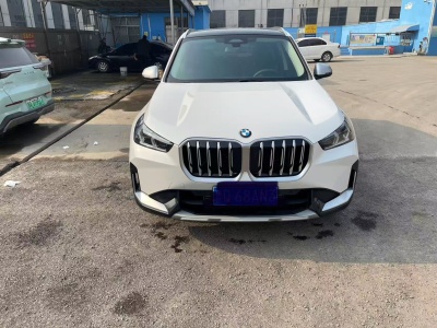 2023年9月 寶馬 寶馬X1 xDrive25Li X設(shè)計(jì)套裝圖片