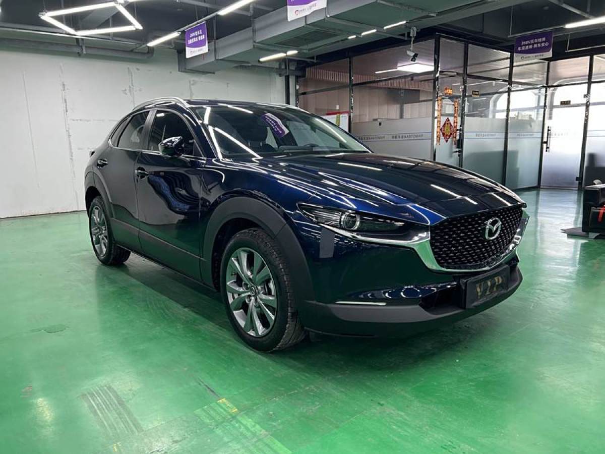 馬自達 CX-30  2020款 2.0L 自動嘉悅型圖片