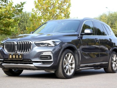 2019年1月 宝马 宝马X5(进口) xDrive30i X设计套装图片