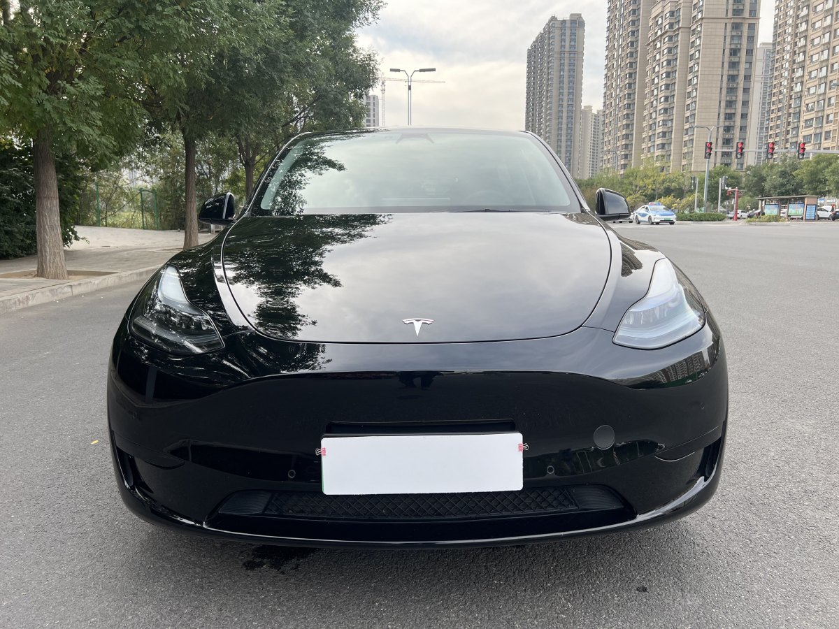 特斯拉 Model Y  2020款 改款 長續(xù)航后輪驅(qū)動版圖片