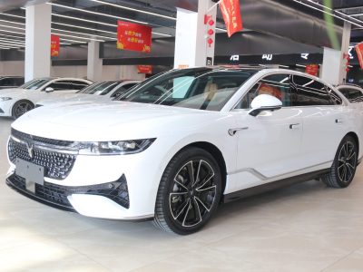 2024年3月  嵐圖追光 PHEV 四驅(qū)超長(zhǎng)續(xù)航旗艦版圖片