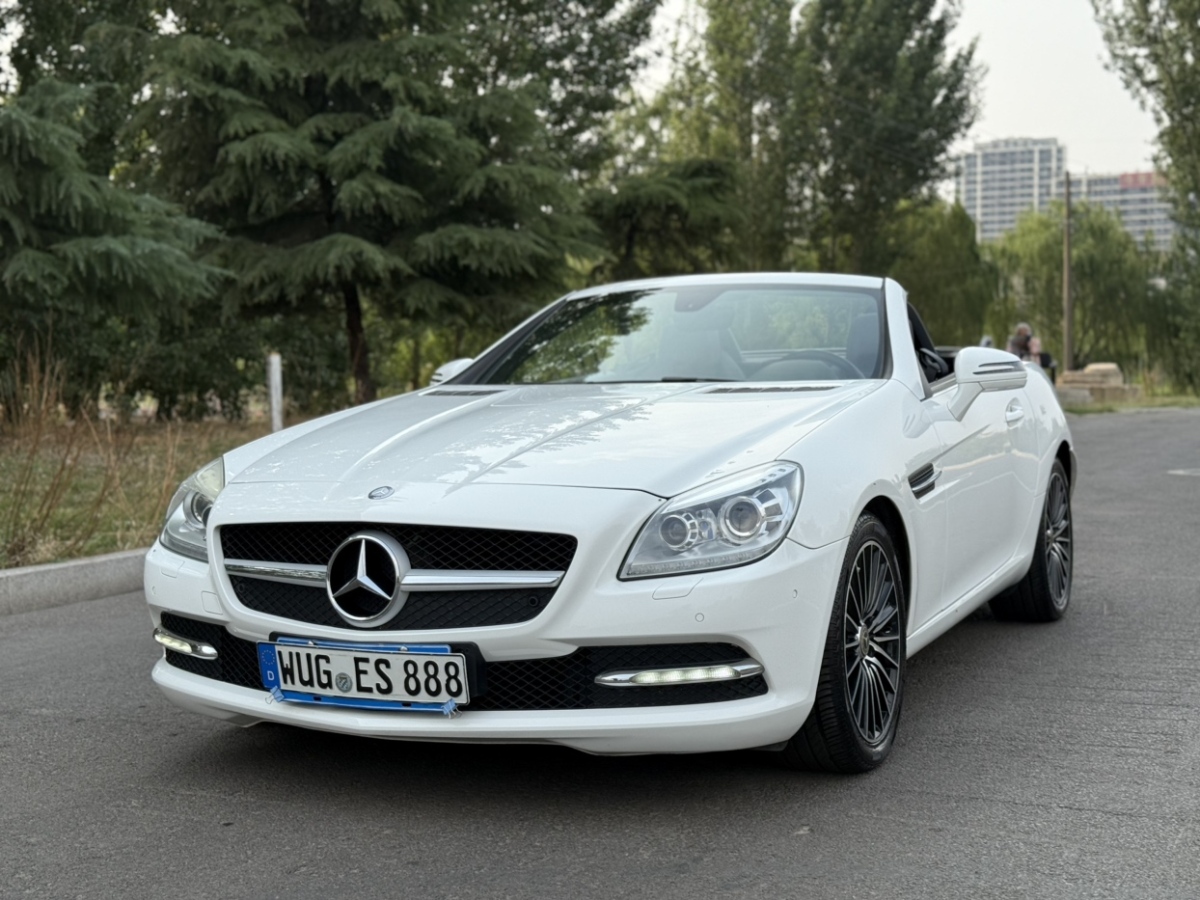 奔馳 奔馳SLK級  2011款 SLK 200 時(shí)尚型圖片