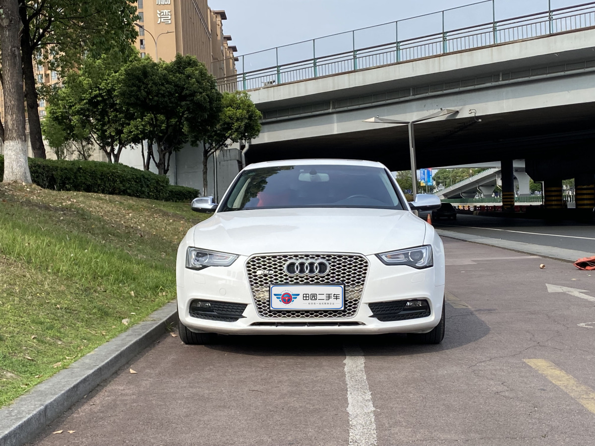 奥迪 奥迪A5  2013款 Sportback 40 TFSI图片