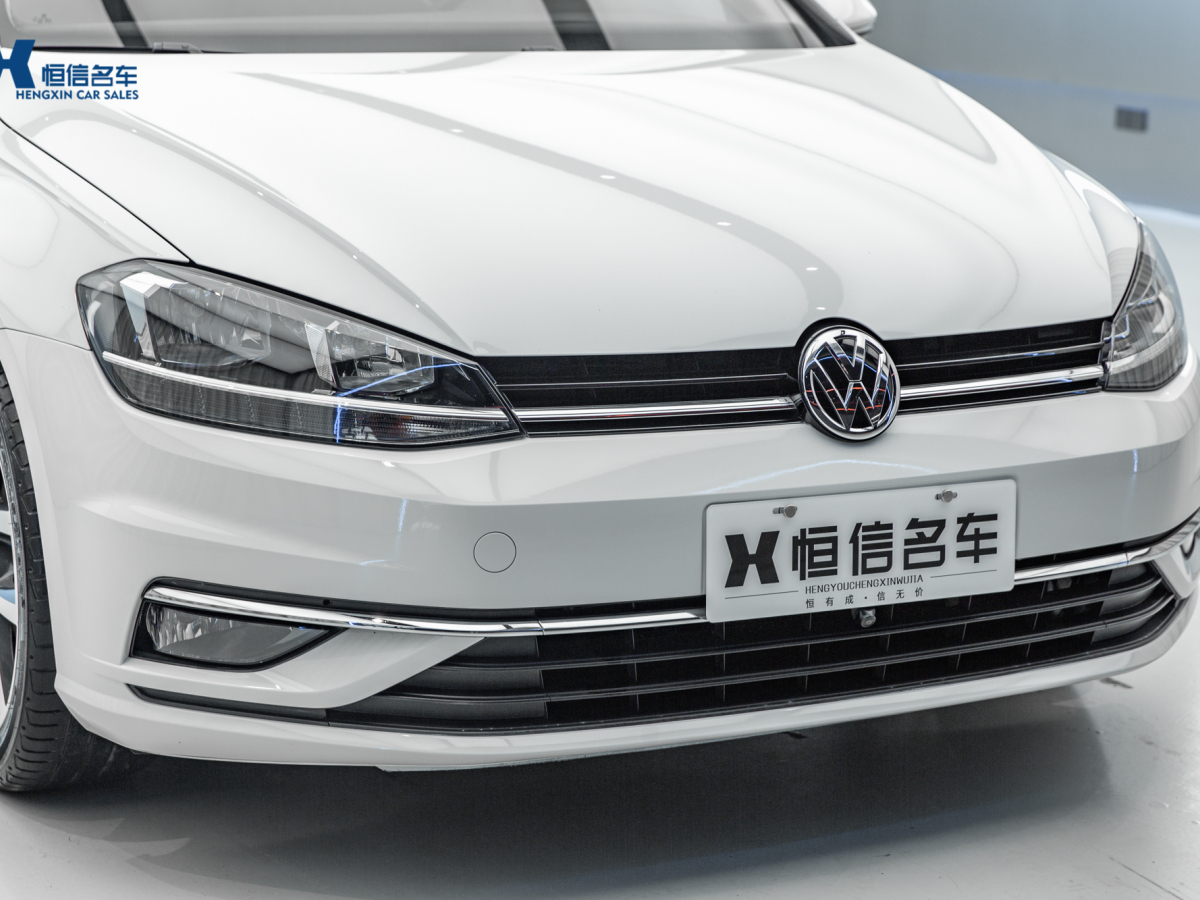 2020年1月大眾 高爾夫  2020款 摯愛(ài)版 280TSI DSG豪華型