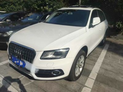 2013年1月 奧迪 奧迪Q5(進(jìn)口) Q5 3.0TFSI 45TFSI Quattro 運(yùn)動(dòng)型圖片