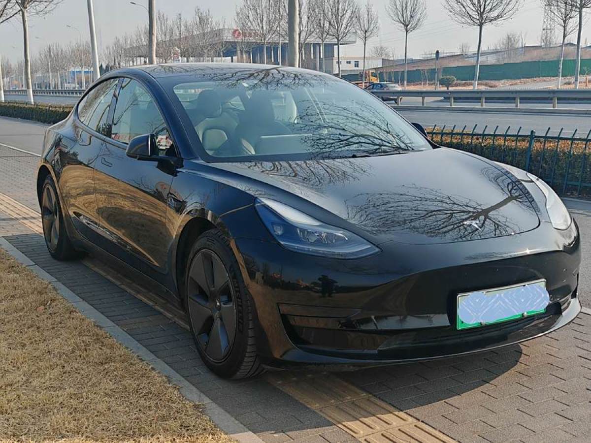 特斯拉 Model 3  2021款 改款 標準續(xù)航后驅(qū)升級版圖片