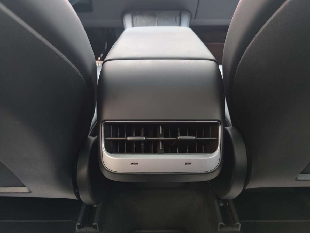 特斯拉 Model Y  2022款 Performance高性能全輪驅(qū)動版圖片