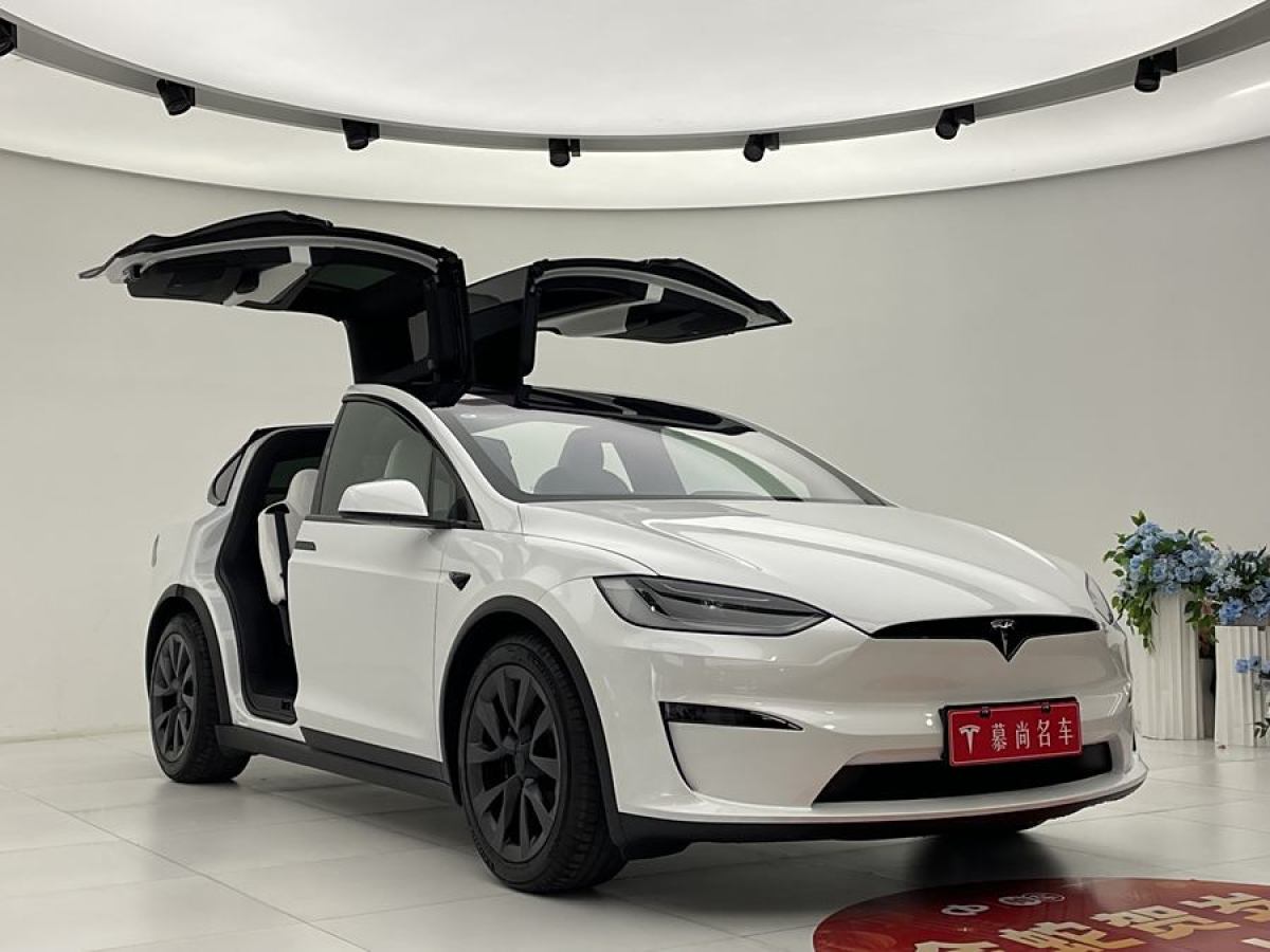 特斯拉 Model X  2023款 雙電機(jī)全輪驅(qū)動(dòng)版圖片