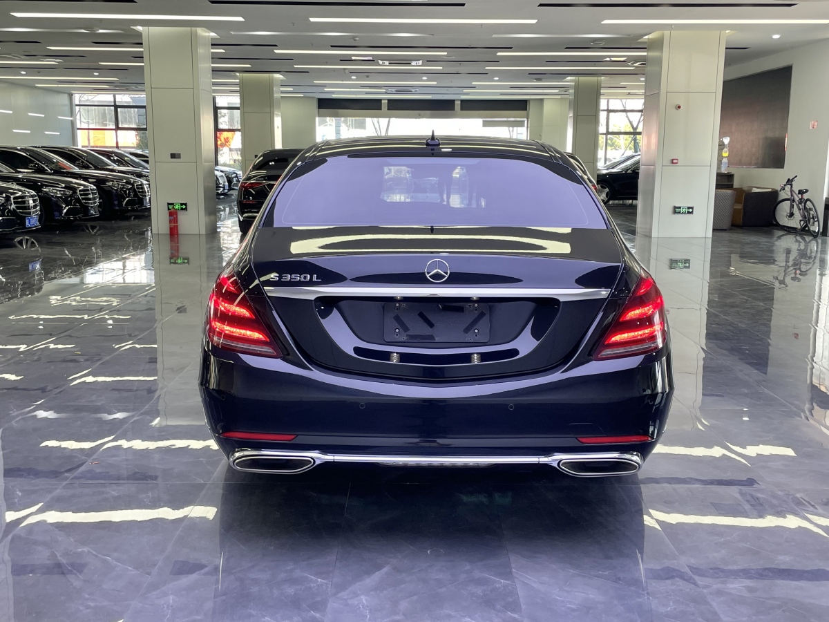 奔馳 奔馳S級  2019款 S 350 L 尊貴型圖片