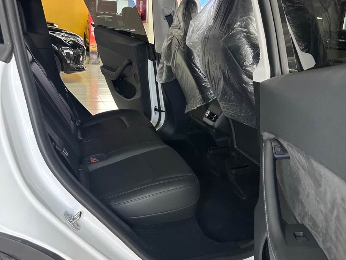 特斯拉 Model Y  2024款 后輪驅(qū)動版圖片
