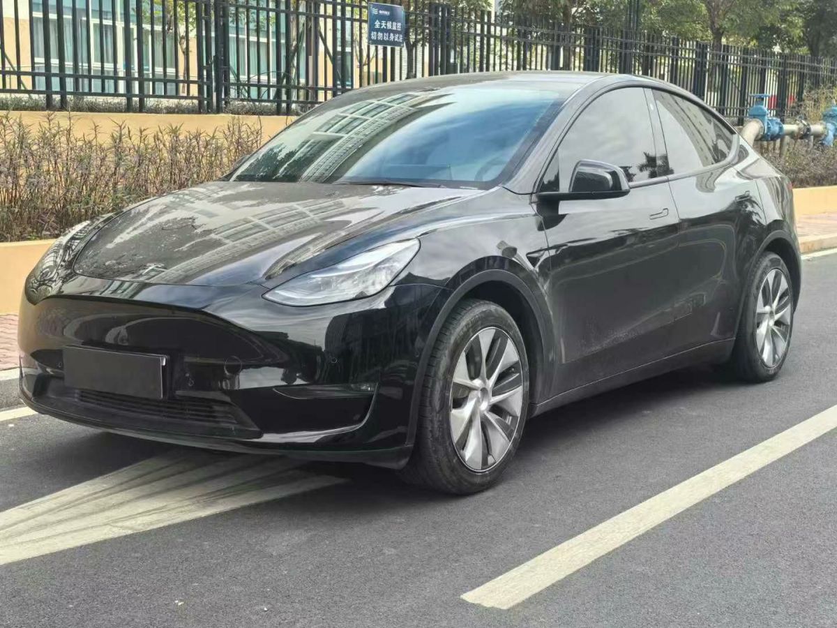 特斯拉 Model Y  2021款 標準續(xù)航后驅(qū)版圖片