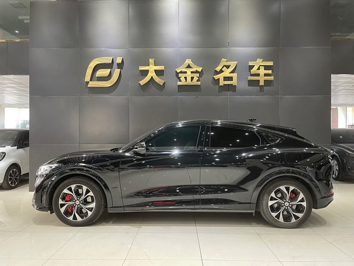 福特 Mustang Mach-E  2021款 長續(xù)航后驅(qū)版圖片