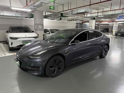 2020年8月 特斯拉 Model 3 標(biāo)準(zhǔn)續(xù)航后驅(qū)升級(jí)版圖片