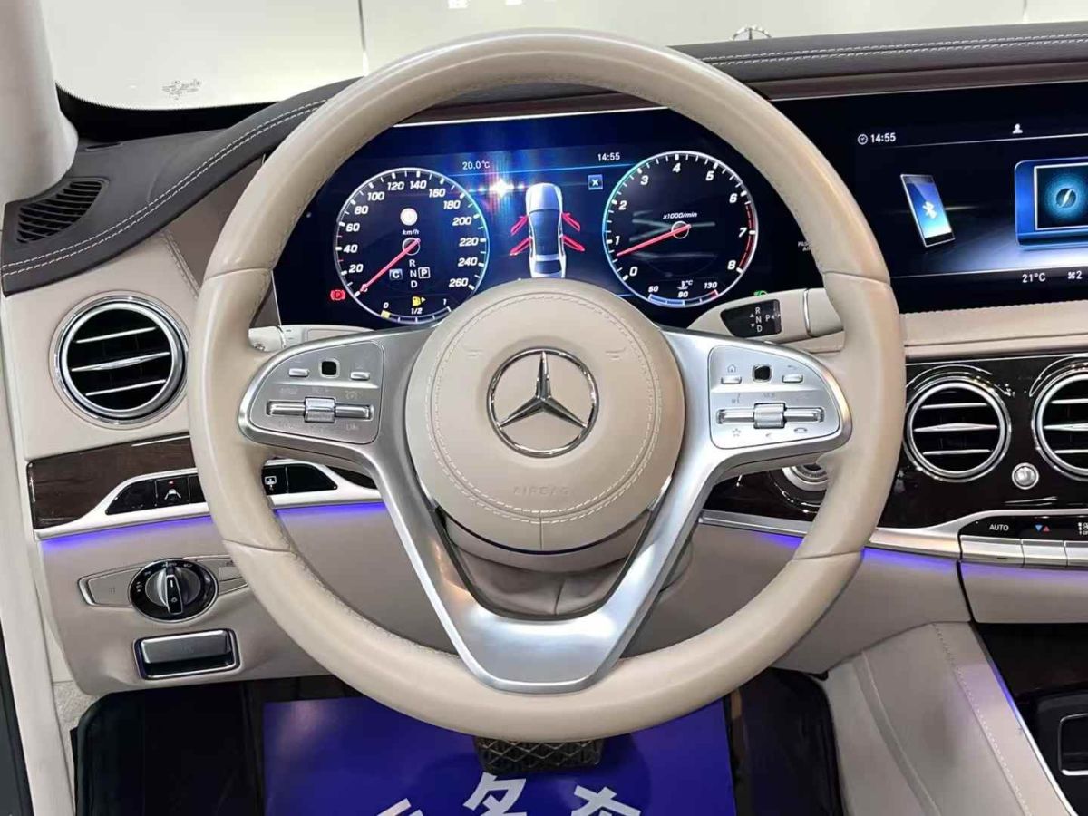 奔馳 奔馳S級(jí)  2020款 S 350 L 商務(wù)型 臻藏版圖片