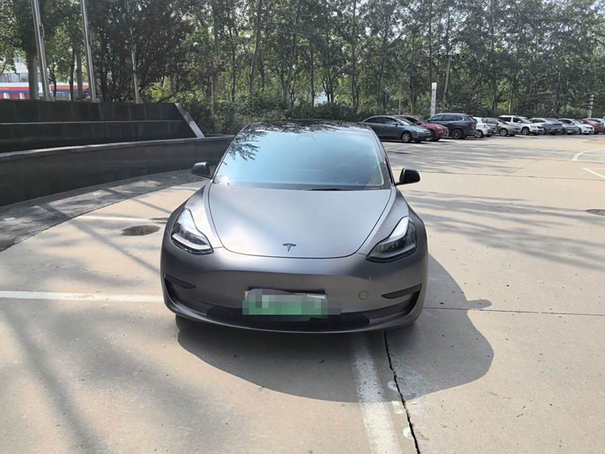 特斯拉 Model 3  2019款 標準續(xù)航后驅升級版圖片