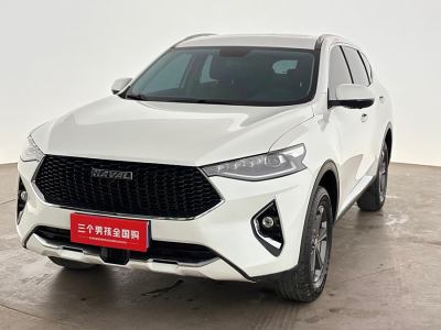 2019年3月 哈弗 F7 1.5T 兩驅(qū)i型 國VI圖片