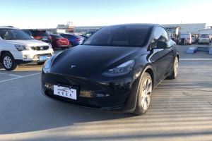 Model Y 特斯拉 改款 长续航后轮驱动版