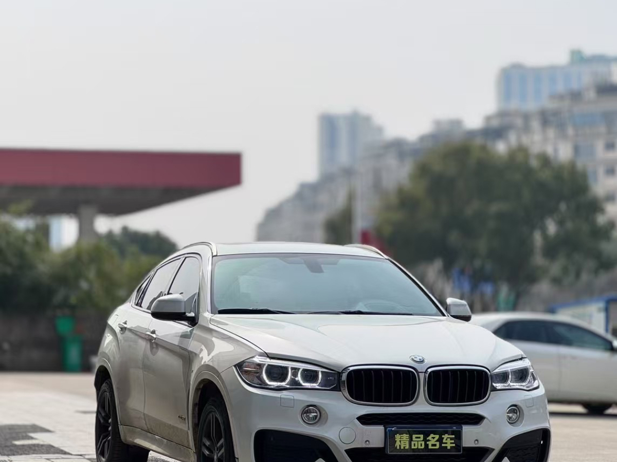 寶馬 寶馬X6  2018款 xDrive35i M運動豪華型圖片