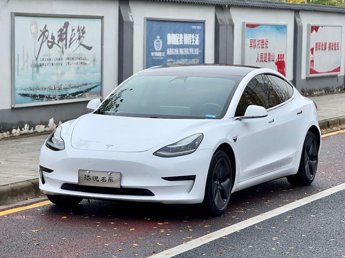 特斯拉 Model 3  2019款 長(zhǎng)續(xù)航后驅(qū)版圖片