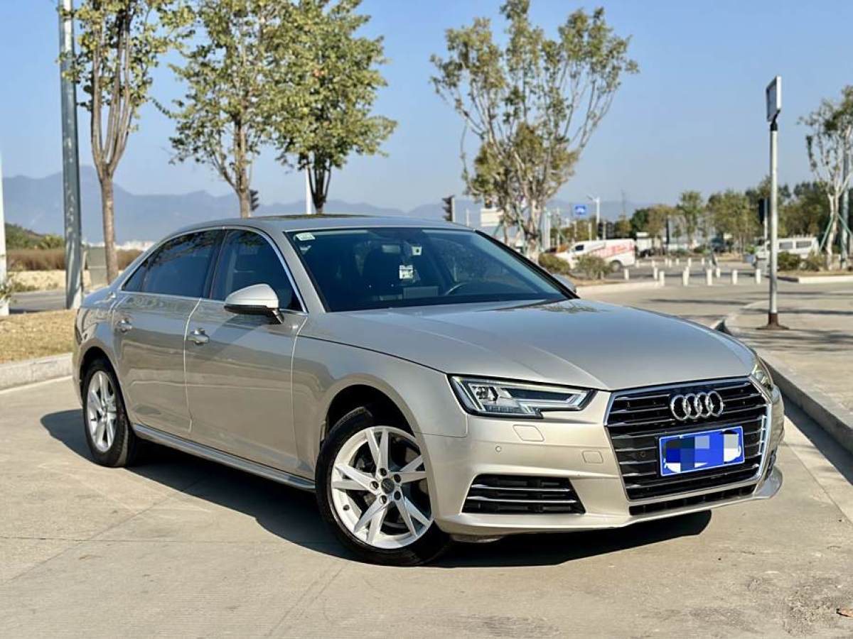 奧迪 奧迪A4L  2018款 30周年年型 40 TFSI 進(jìn)取型圖片